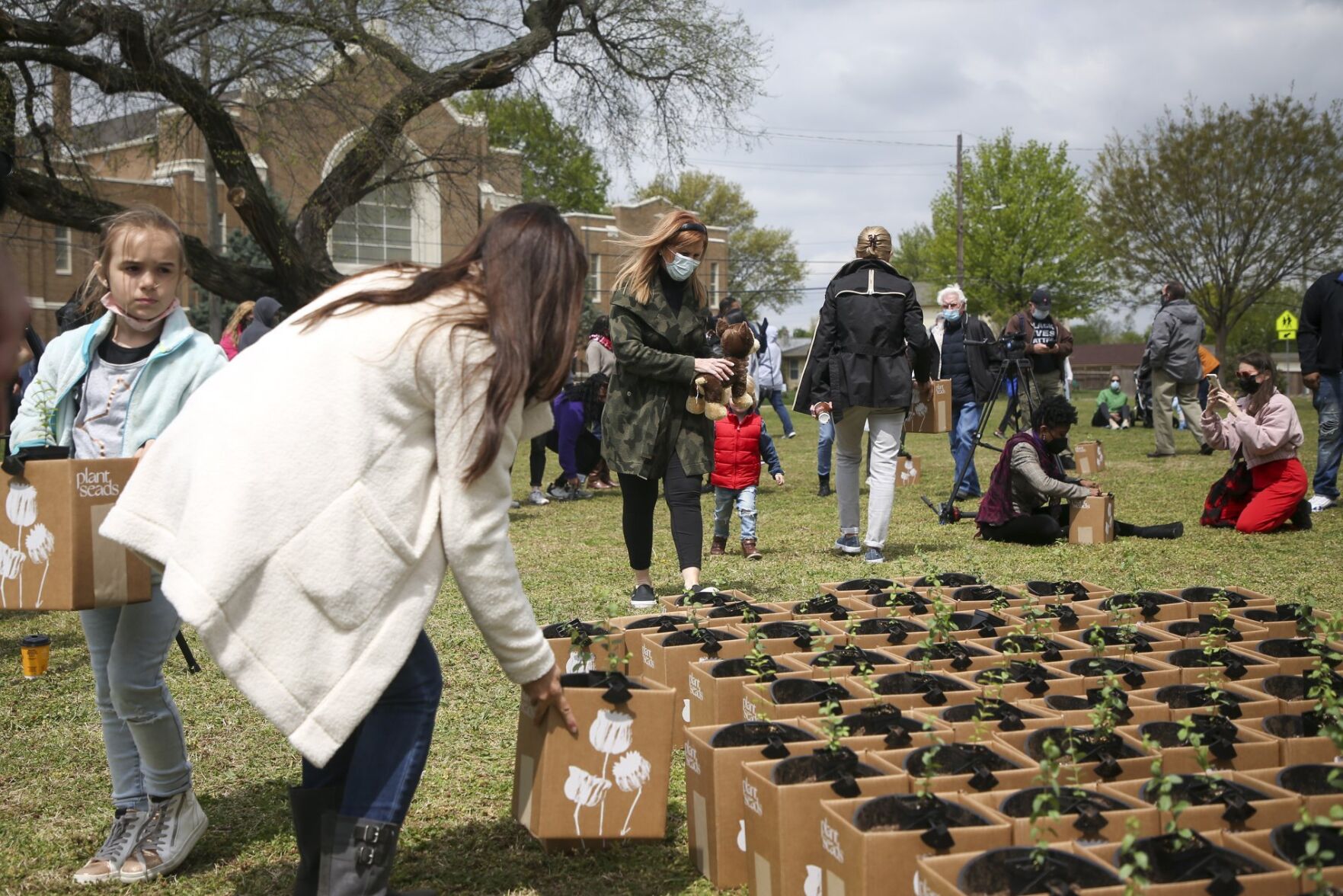 Tulsa Race Massacre Memorial Tree